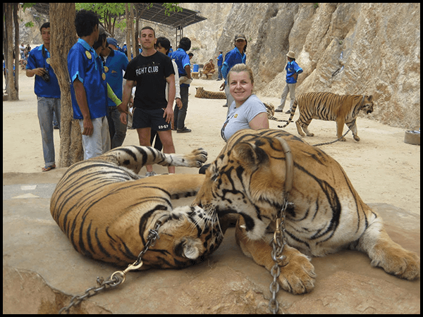 international-tour-packages